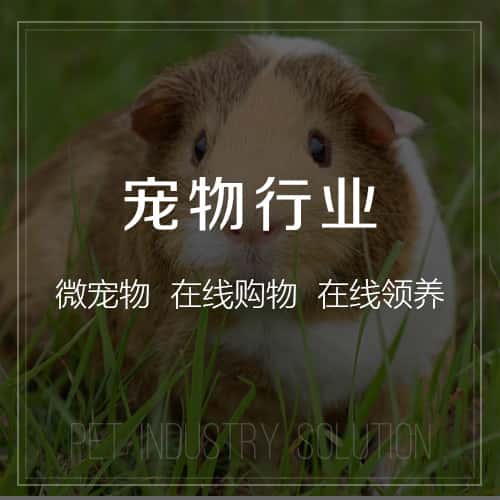 洛阳宠物