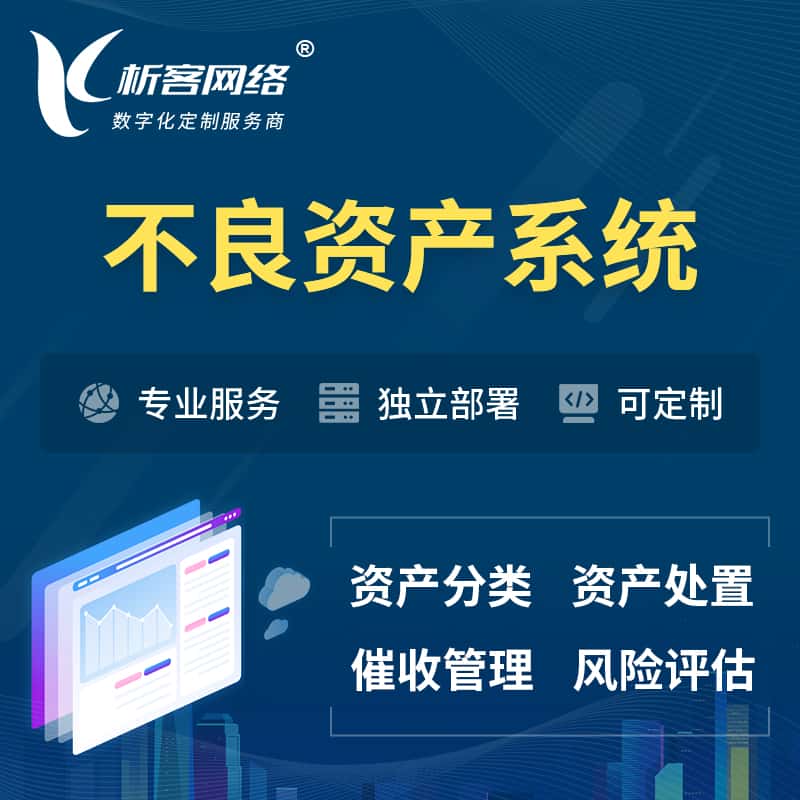 洛阳不良资产管理系统