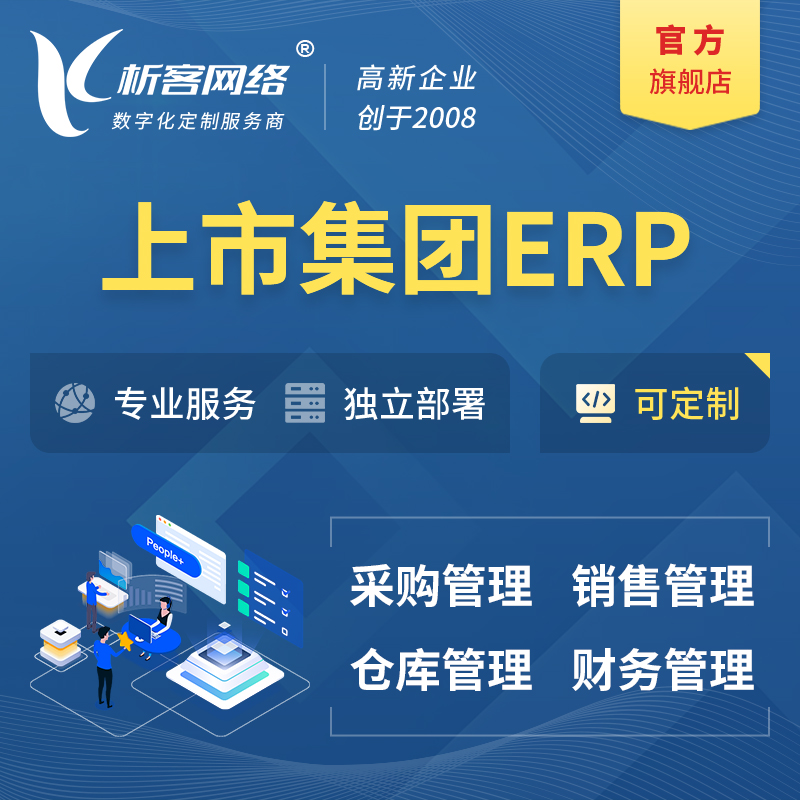 洛阳上市集团ERP软件生产MES车间管理系统