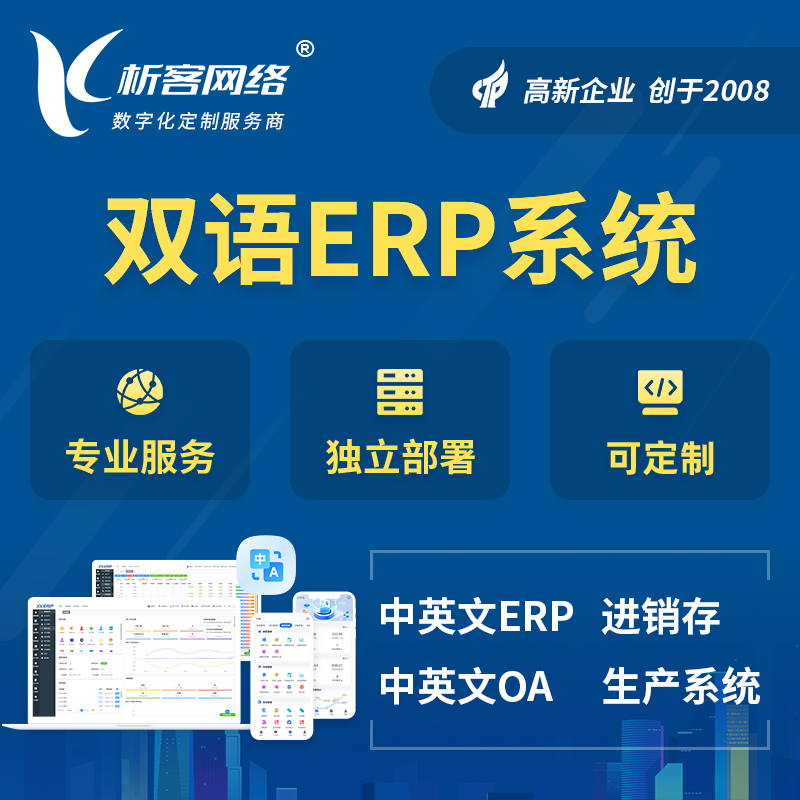 洛阳双语ERP系统