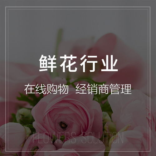 洛阳集运系统制作如何实现智能路线规划